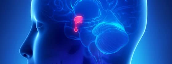 Acromégalie_Adénome hypophysaire