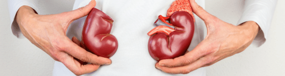 douleur hyperoxalurie primitive