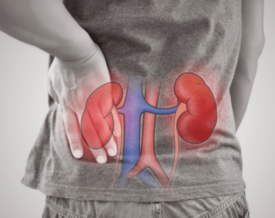 L'hyperoxalurie primitive