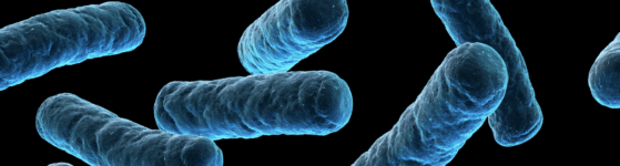 syndrome de Budd-Chiari