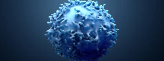 Lymphomes cutanés - prolifération de lymphocytes