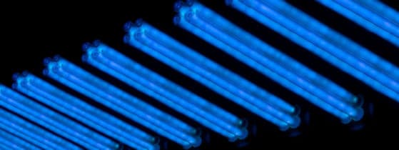 Lymphomes T cutanés - UV