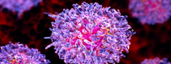 Maladie de Gaucher - Diagnostics différentiels