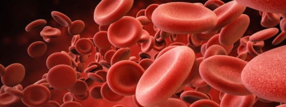 Syndrome Hémolytique et Urémique atypique - Définition