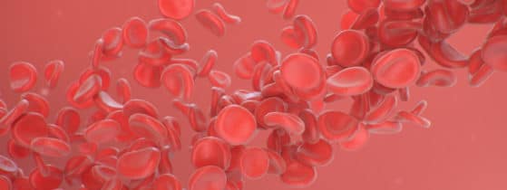 Bêta-thalassémie - Définition