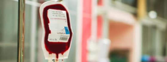 Bêta-thalassémie - Surcharge en fer