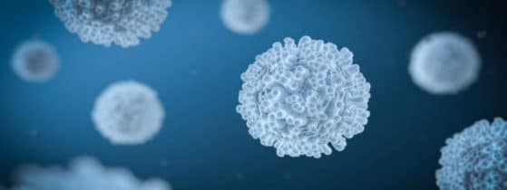 Alpha-mannosidose – Diagnostic