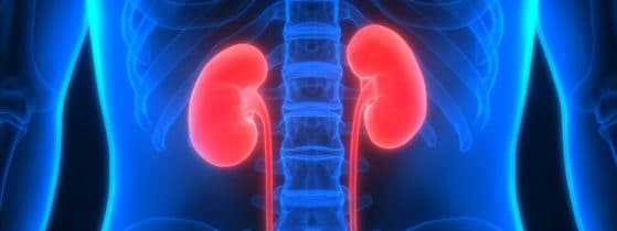 Syndrome GACI - Symptômes