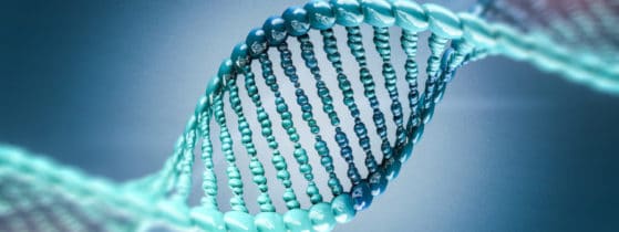 Syndrome GACI - Maladie génétique