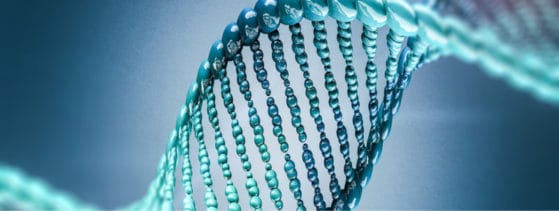 Syndrome de Myhre - Génétique