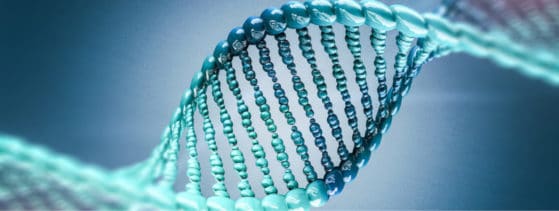 SMA infantile - Génétique