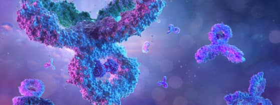 Myasthénie auto-immune - Immunologie