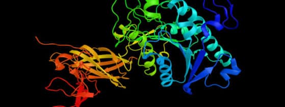 LAL-D - Examens diagnostiques