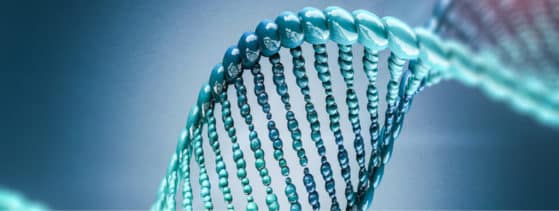 LAL-D - Dépistage génétique