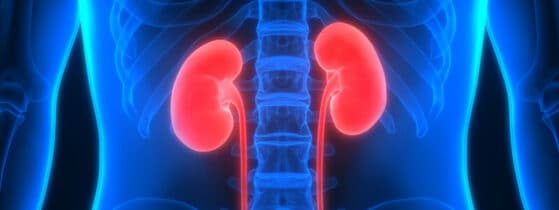 Maladie de Fabry - Atteintes rénales