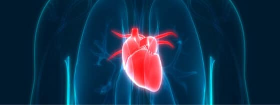 Maladie de Fabry - Atteintes cardiaques