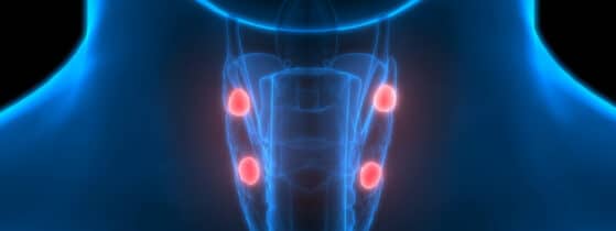 Hypoparathyroïdie - estimation patients