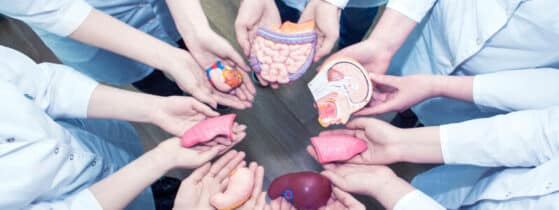 prise en charge de la fièvre méditerranéenne familiale