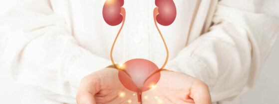 Valve de l’urètre postérieur - définition