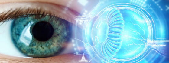 Neuropathie optique héréditaire de Leber - définition