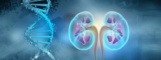 Dépistage et diagnostic l’acidose tubulaire rénale distale