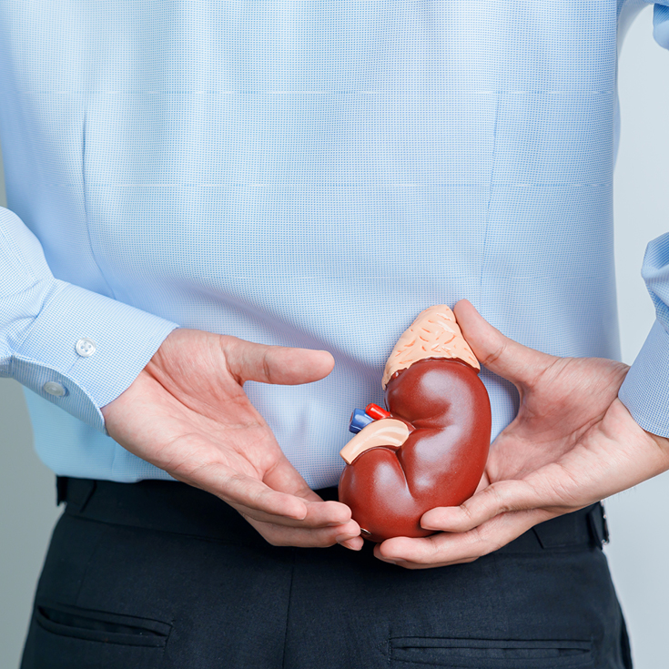 Néphropathie à IgA (Maladie de Berger)