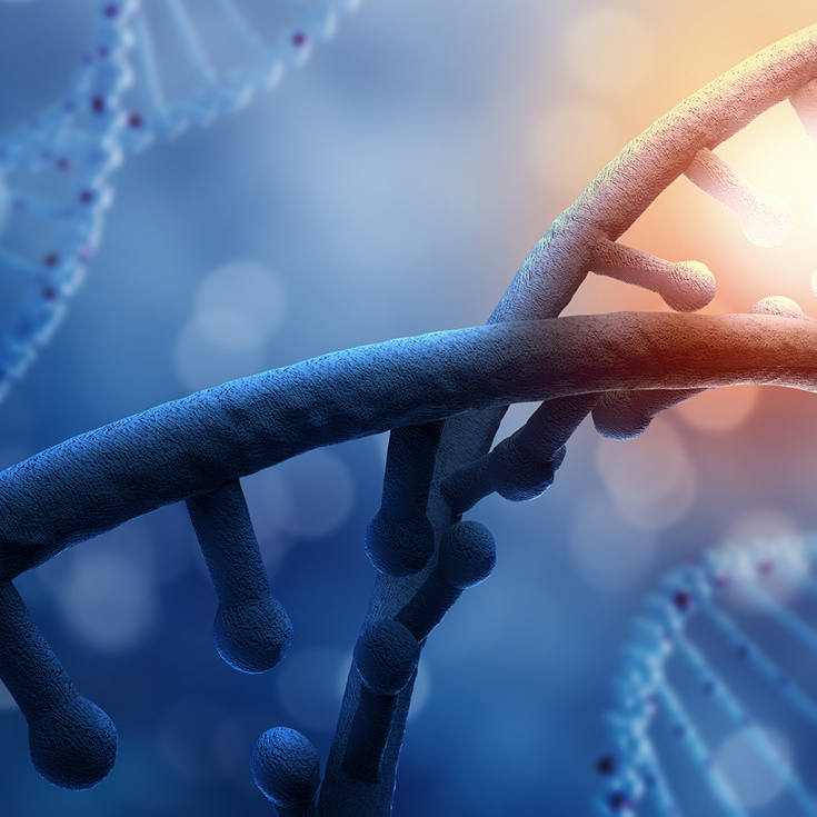 Dysplasie cléidocrânienne