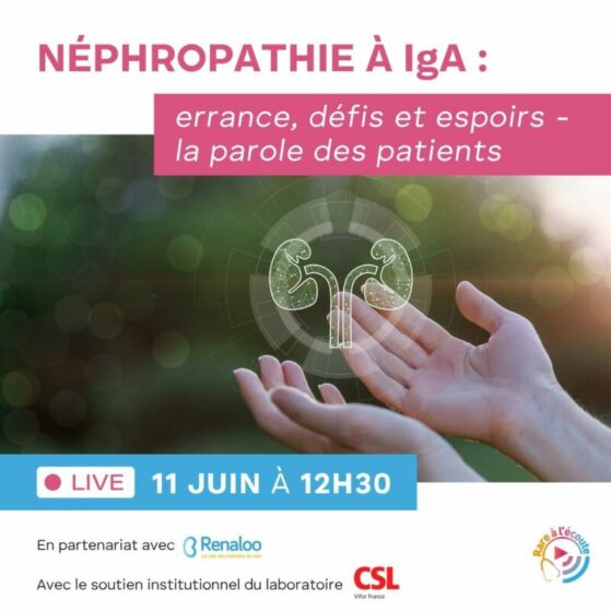 Live Néphropathie à IgA